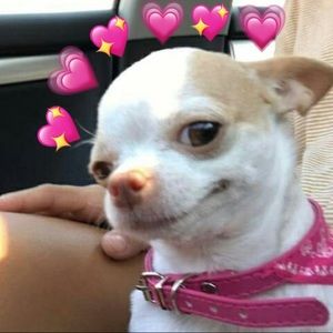 Meet your Posher, Melodee